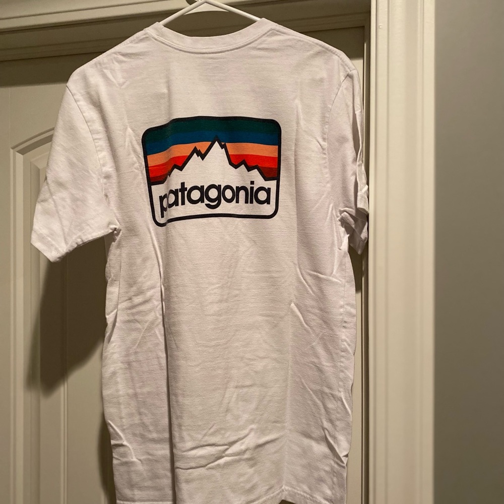 Patagonia tee